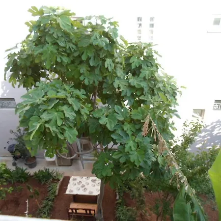 公寓式酒店 Banana